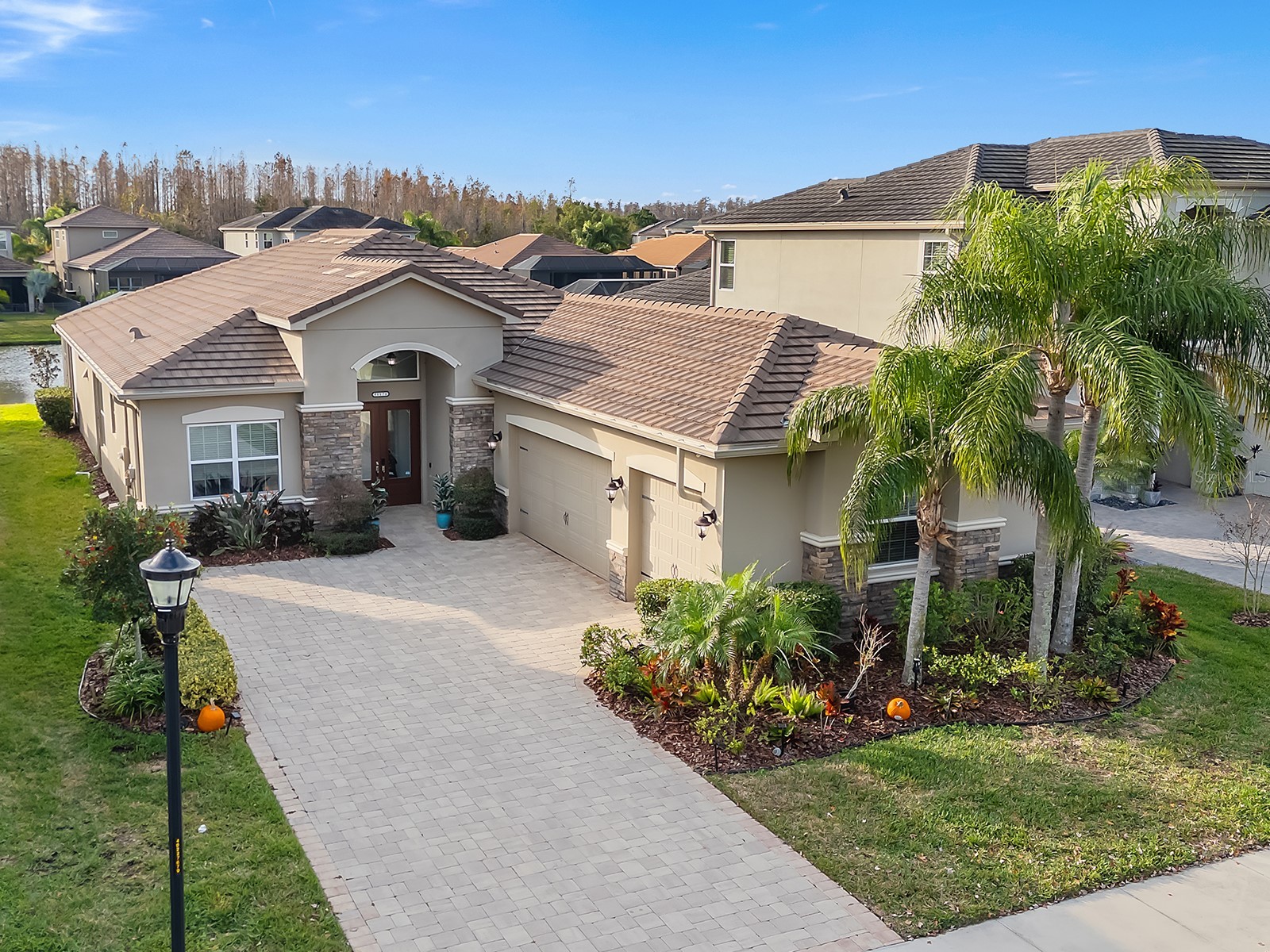 31176 Chesapeake Bay Drive Wesley Chapel FL 33543 TB8465273 image1