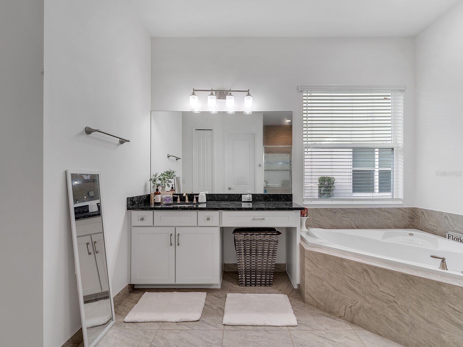 31176 Chesapeake Bay Drive Wesley Chapel FL 33543 TB8465273 image23
