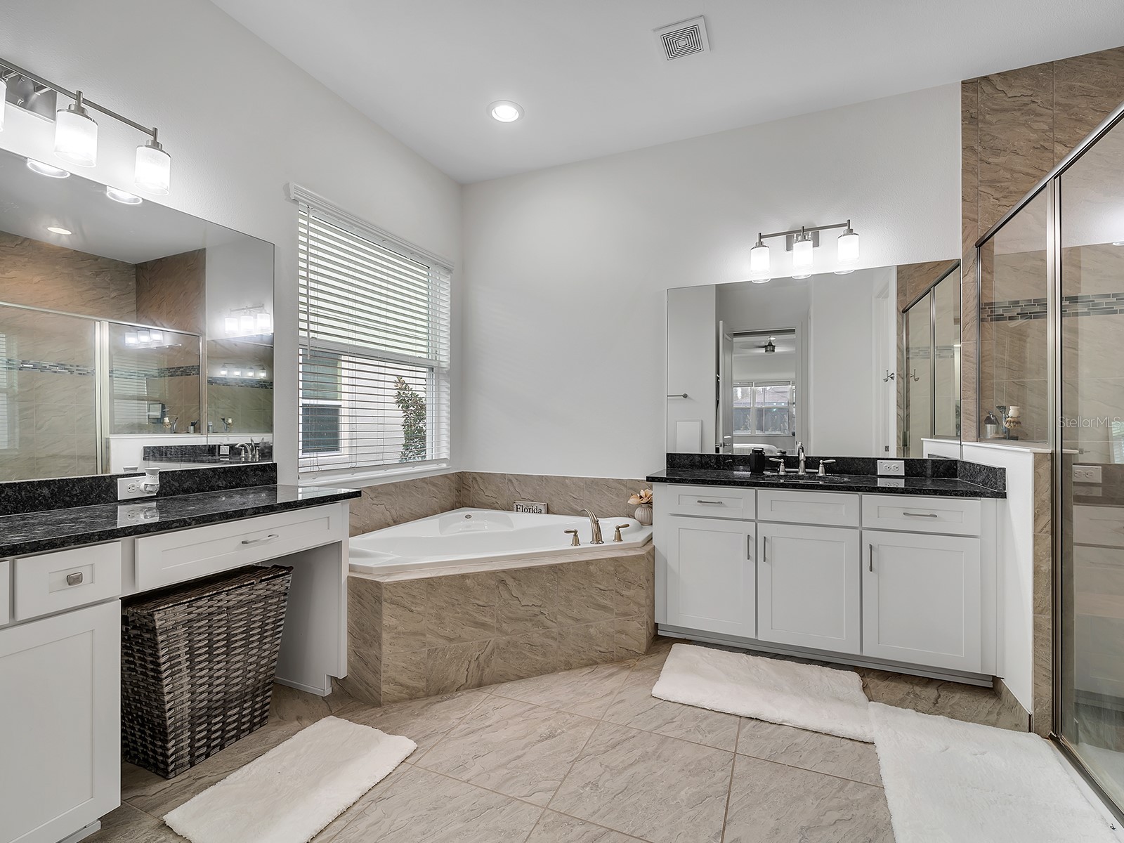 31176 Chesapeake Bay Drive Wesley Chapel FL 33543 TB8465273 image24