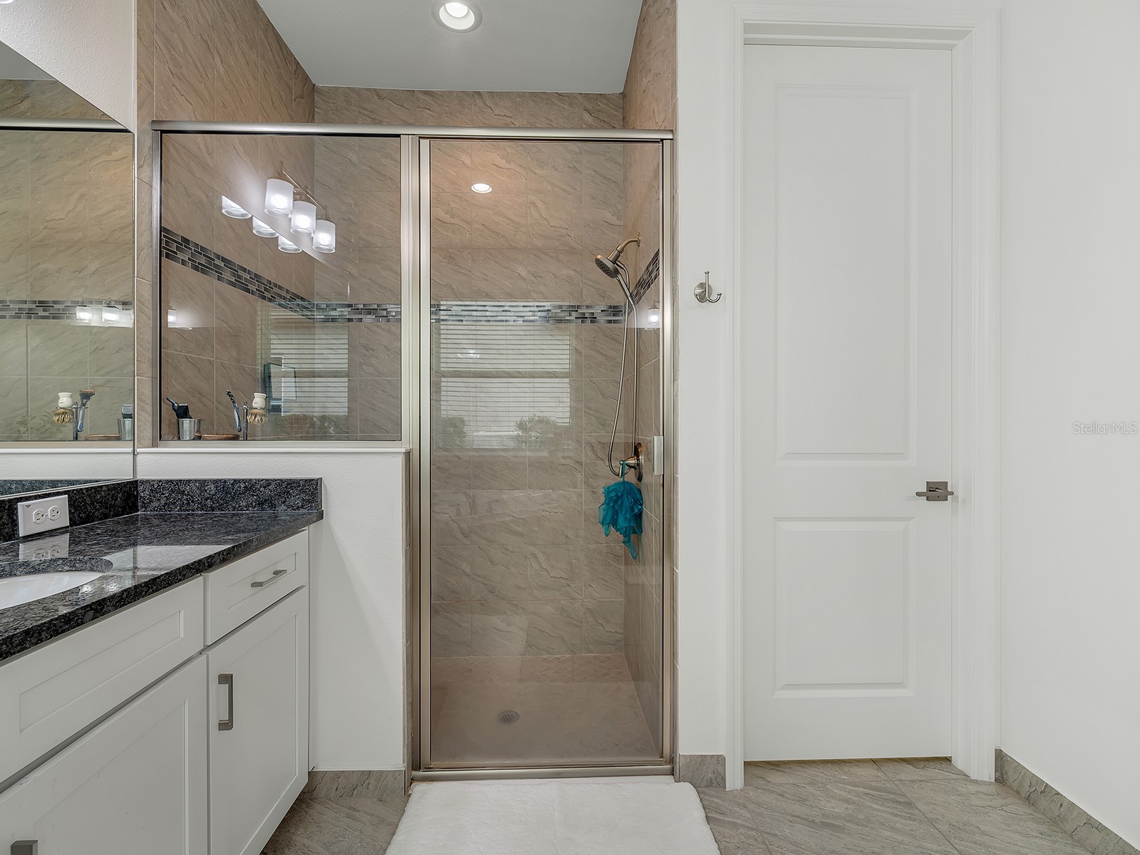 31176 Chesapeake Bay Drive Wesley Chapel FL 33543 TB8465273 image25