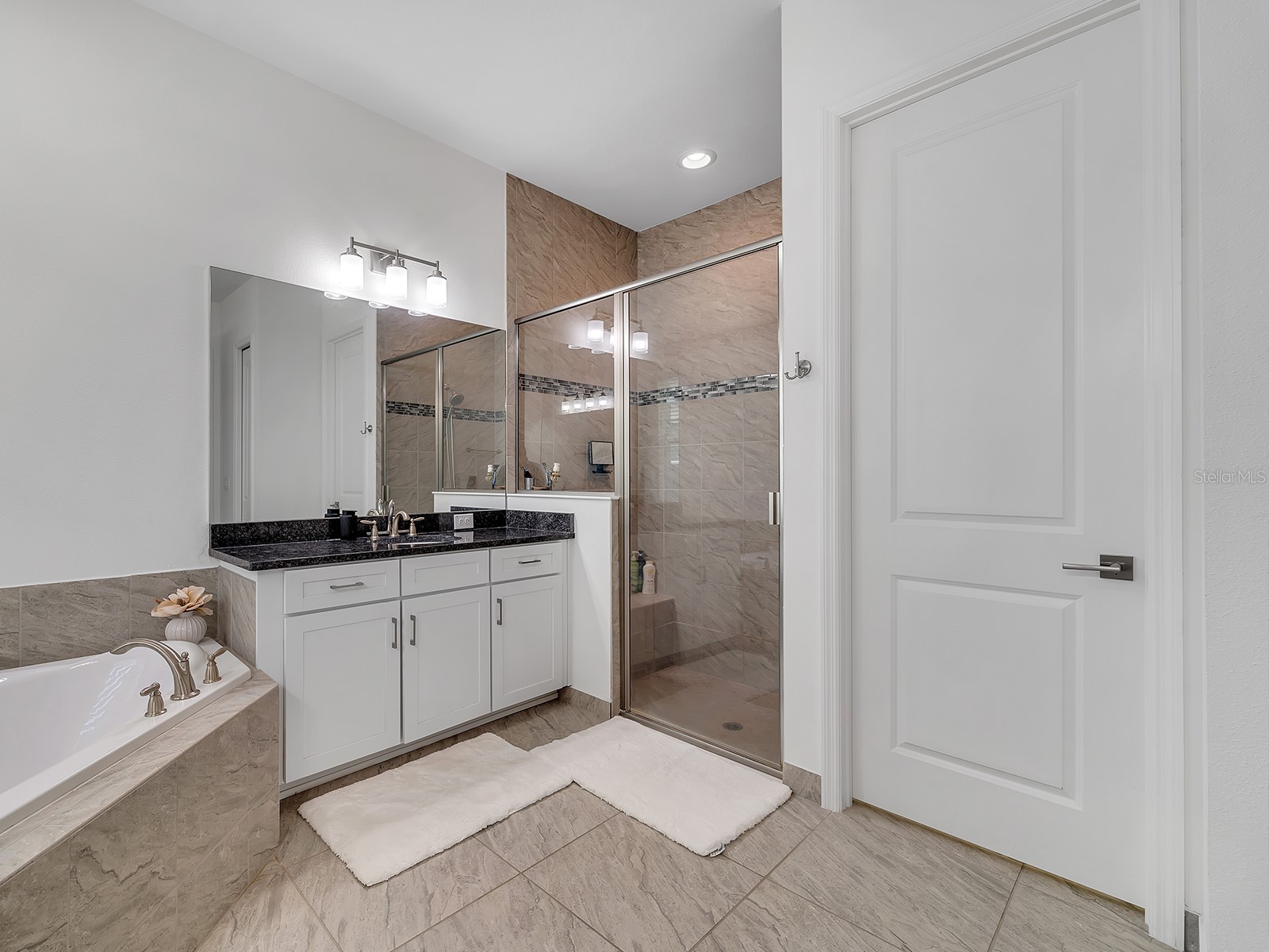 31176 Chesapeake Bay Drive Wesley Chapel FL 33543 TB8465273 image26