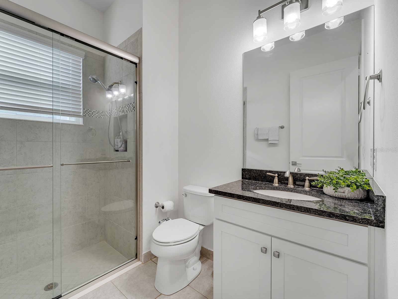 31176 Chesapeake Bay Drive Wesley Chapel FL 33543 TB8465273 image28