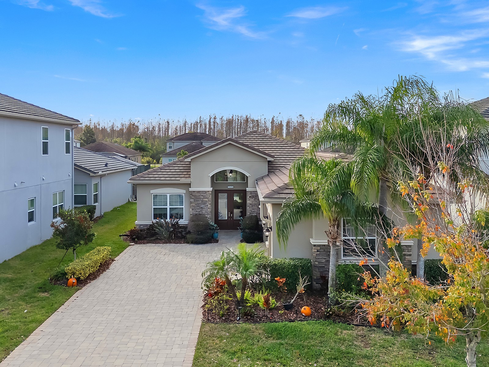 31176 Chesapeake Bay Drive Wesley Chapel FL 33543 TB8465273 image4