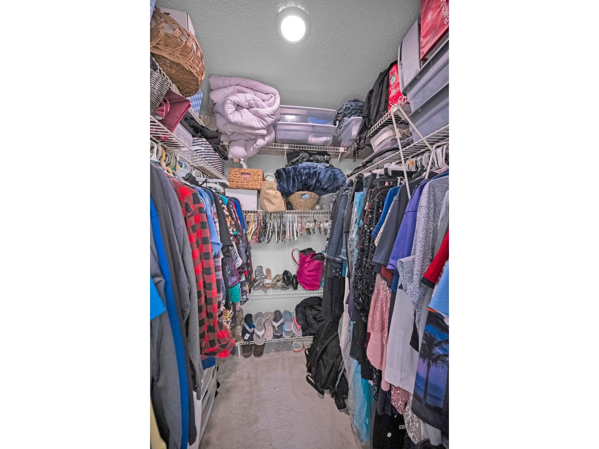 3118 Eagles Landing Circle W Clearwater FL 33761 TB8467595 image34