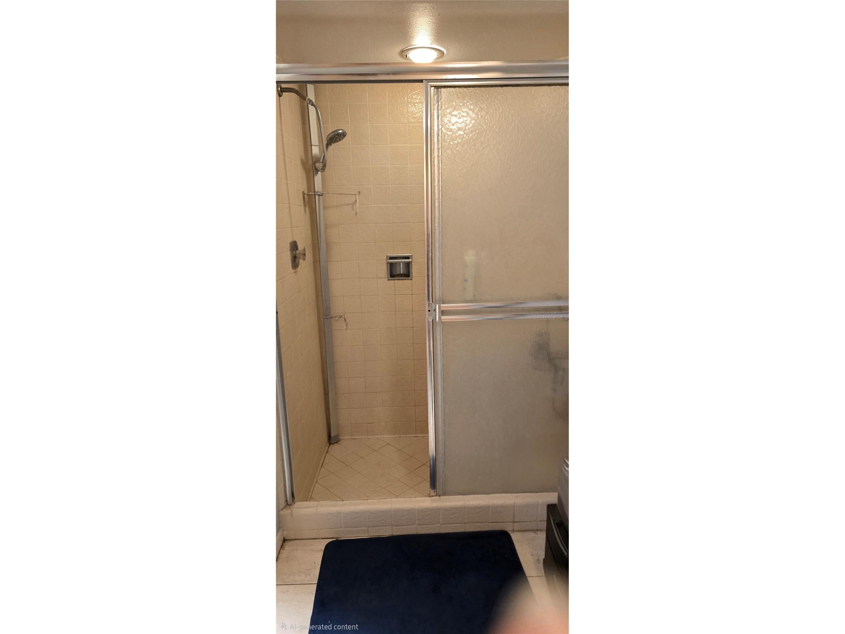 3118 Eagles Landing Circle W Clearwater FL 33761 TB8467595 image35