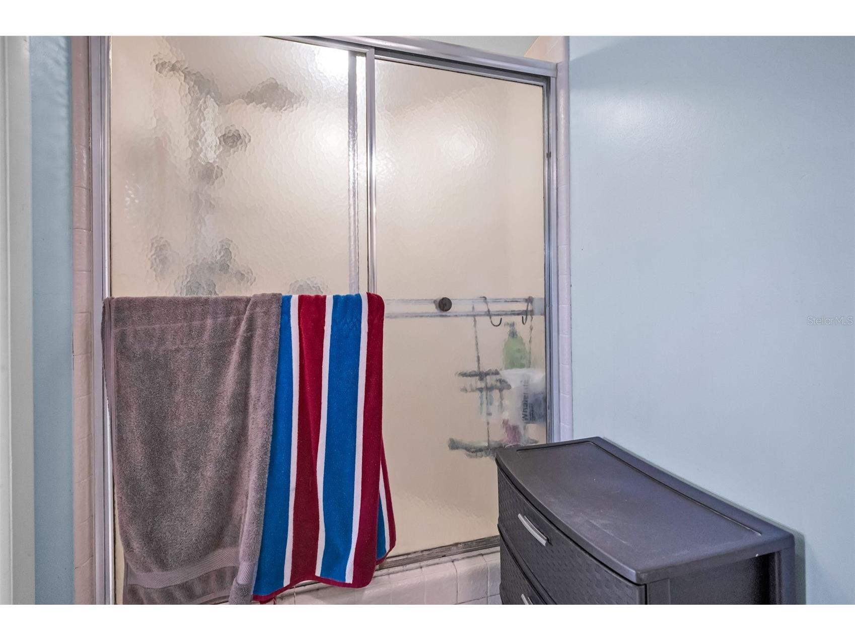 3118 Eagles Landing Circle W Clearwater FL 33761 TB8467595 image37