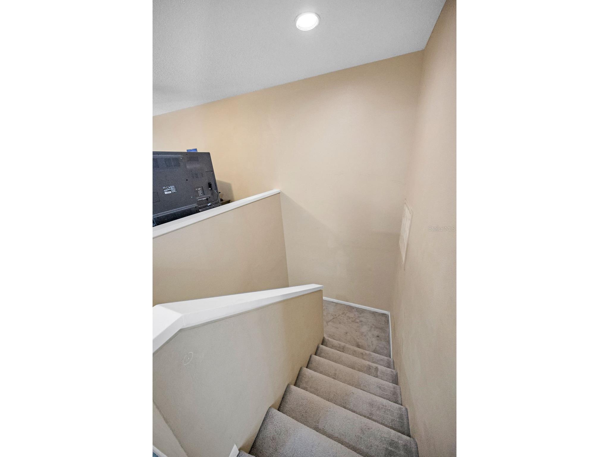 3118 Eagles Landing Circle W Clearwater FL 33761 TB8467595 image39