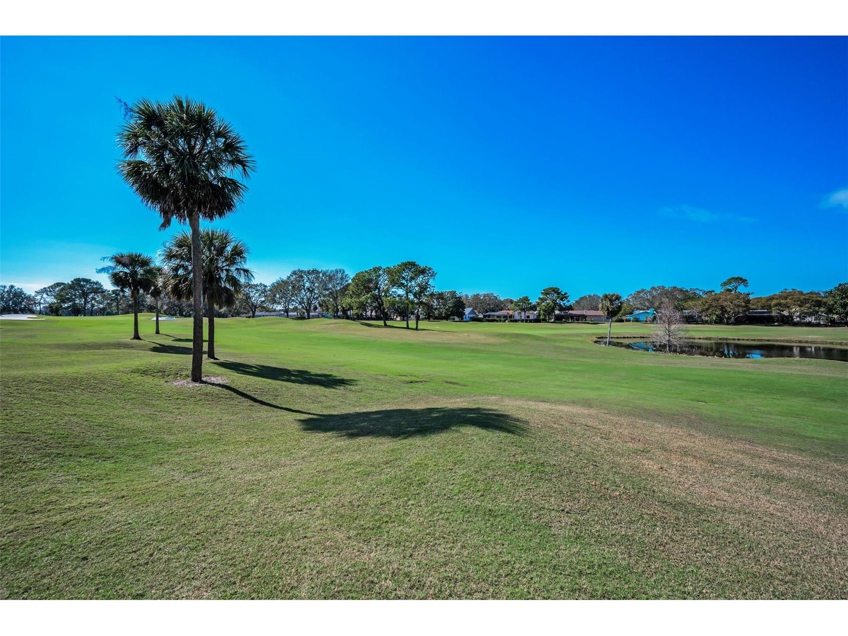 3118 Eagles Landing Circle W Clearwater FL 33761 TB8467595 image55