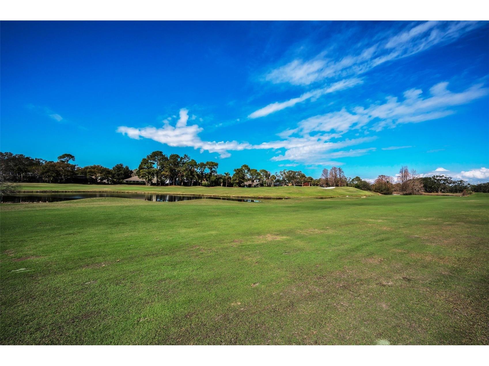 3118 Eagles Landing Circle W Clearwater FL 33761 TB8467595 image56