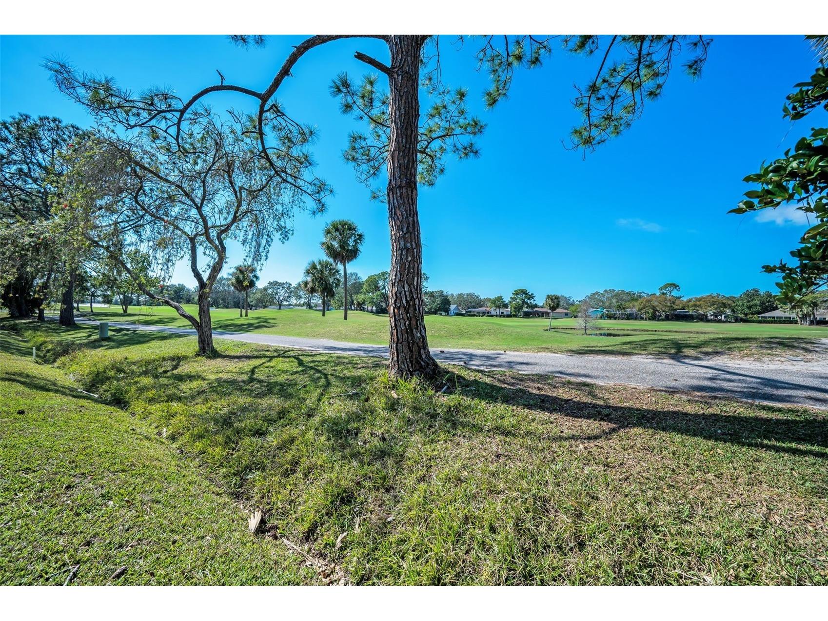 3118 Eagles Landing Circle W Clearwater FL 33761 TB8467595 image57
