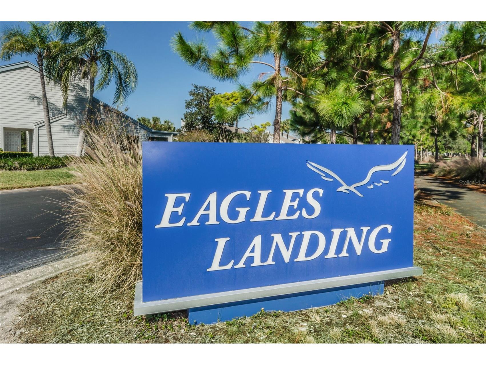 3118 Eagles Landing Circle W Clearwater FL 33761 TB8467595 image60
