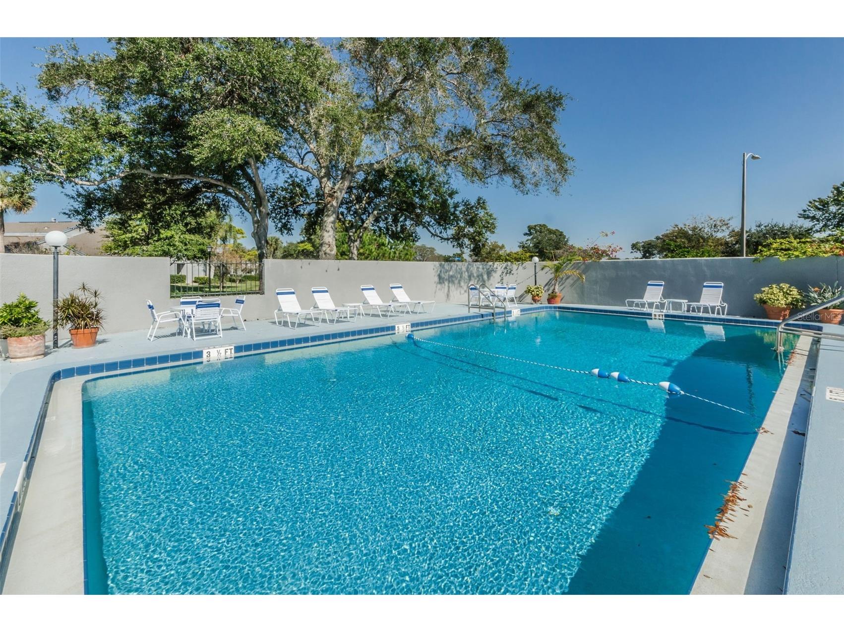 3118 Eagles Landing Circle W Clearwater FL 33761 TB8467595 image61