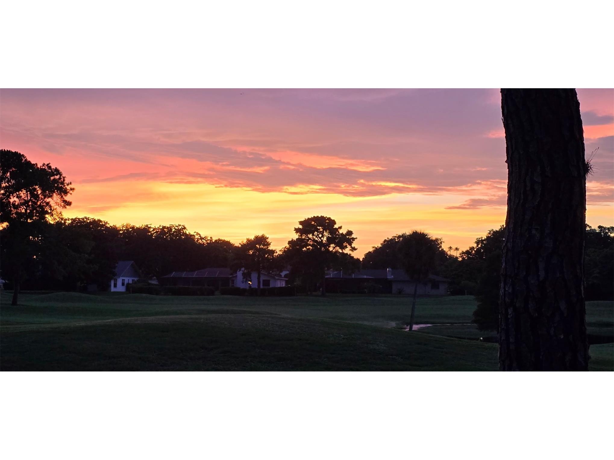 3118 Eagles Landing Circle W Clearwater FL 33761 TB8467595 image67