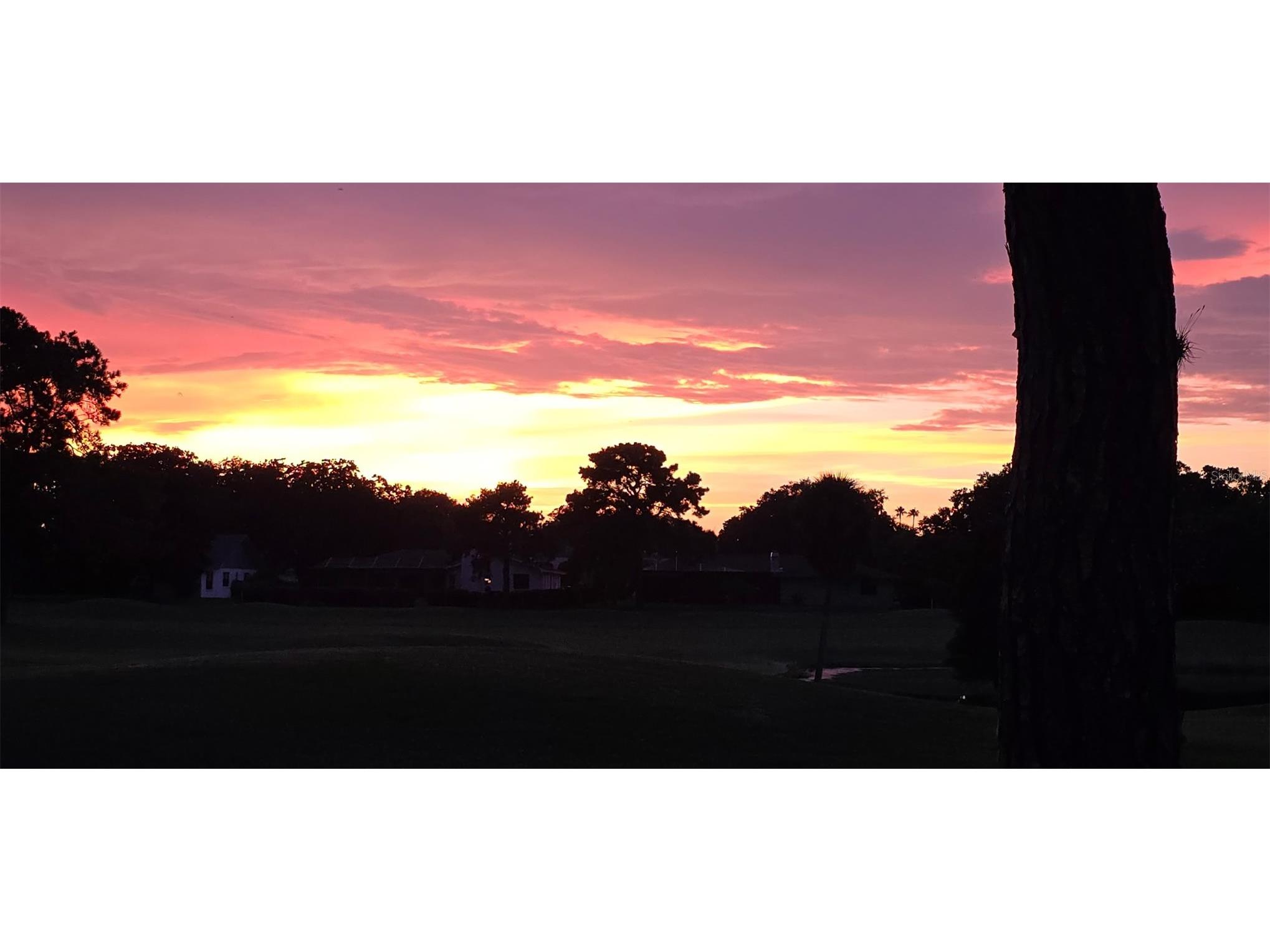 3118 Eagles Landing Circle W Clearwater FL 33761 TB8467595 image68