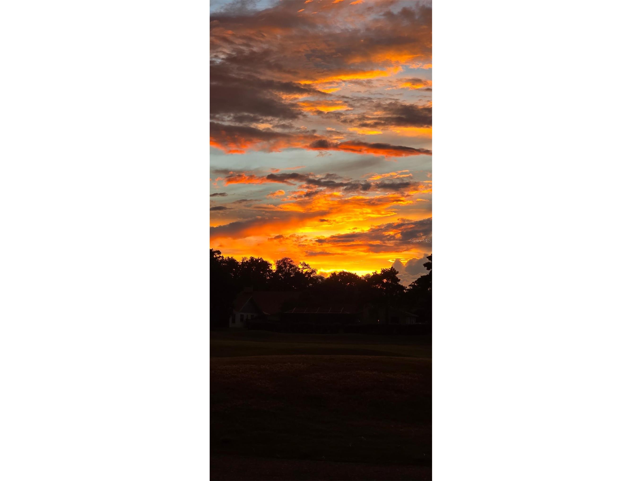 3118 Eagles Landing Circle W Clearwater FL 33761 TB8467595 image69