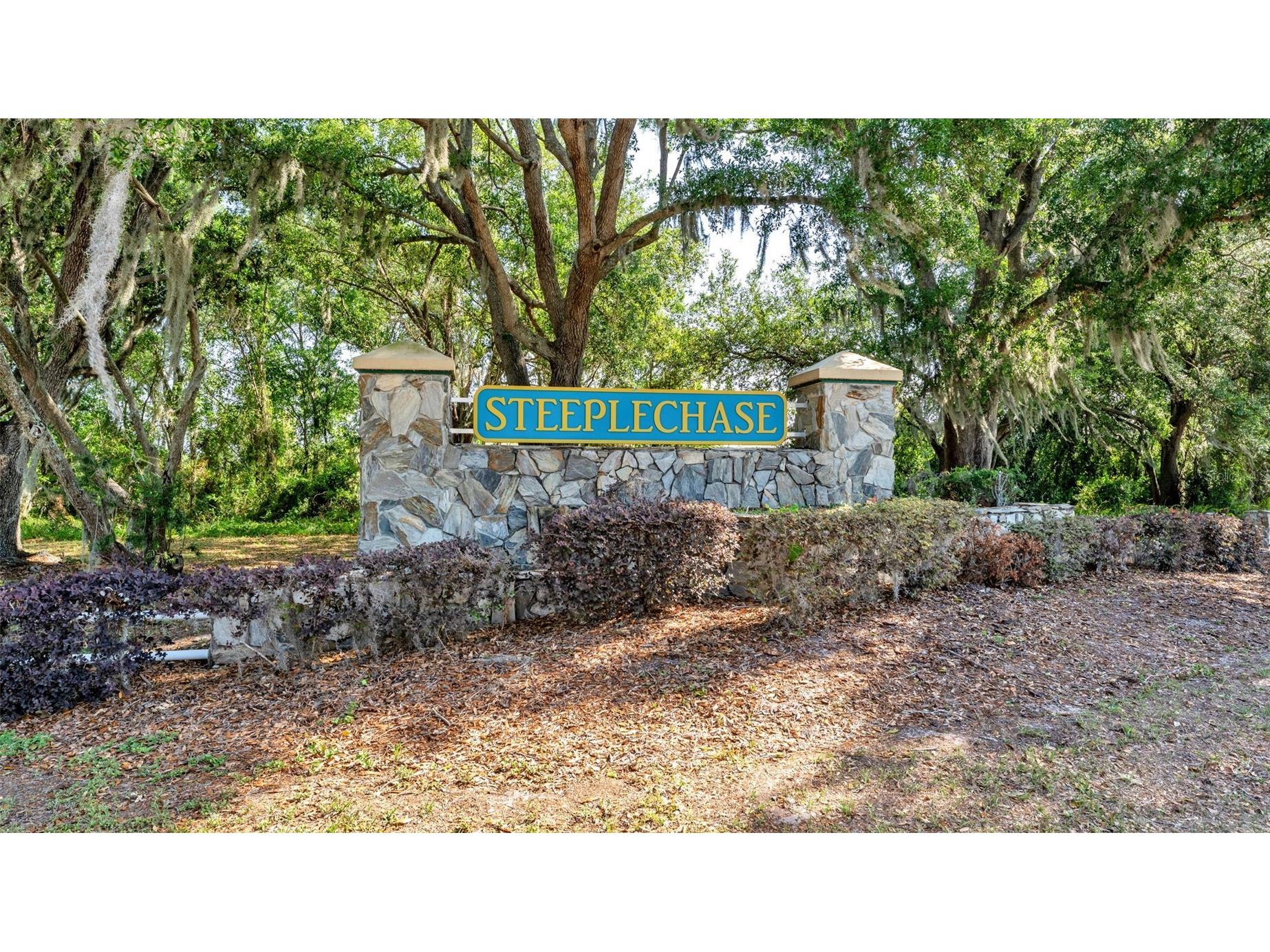 3118 Filly Lane Lakeland FL 33811 GC539539 image2