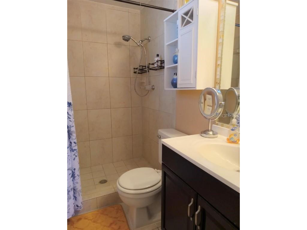 3118 Palm Court Dunedin FL 34698 TB8421409 image22