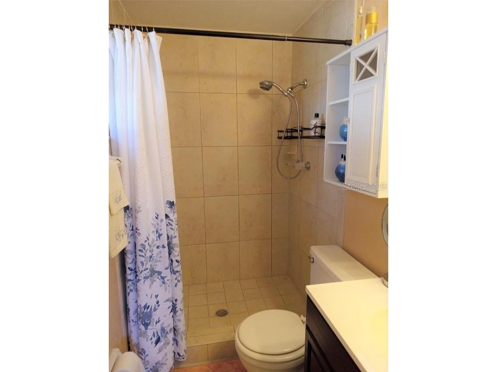 3118 Palm Court Dunedin FL 34698 TB8421409 image23