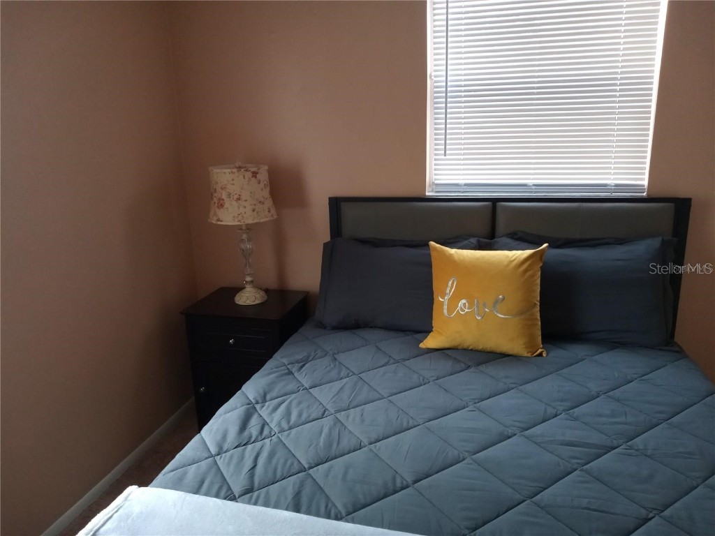 3118 Palm Court Dunedin FL 34698 TB8421409 image29