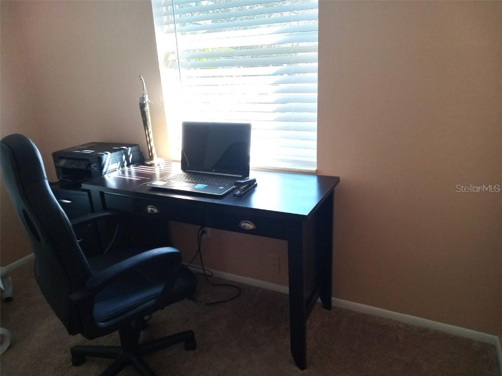 3118 Palm Court Dunedin FL 34698 TB8421409 image32