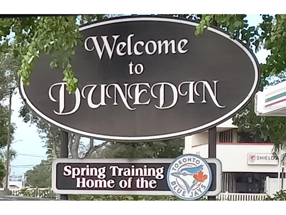 3118 Palm Court Dunedin FL 34698 TB8421409 image49