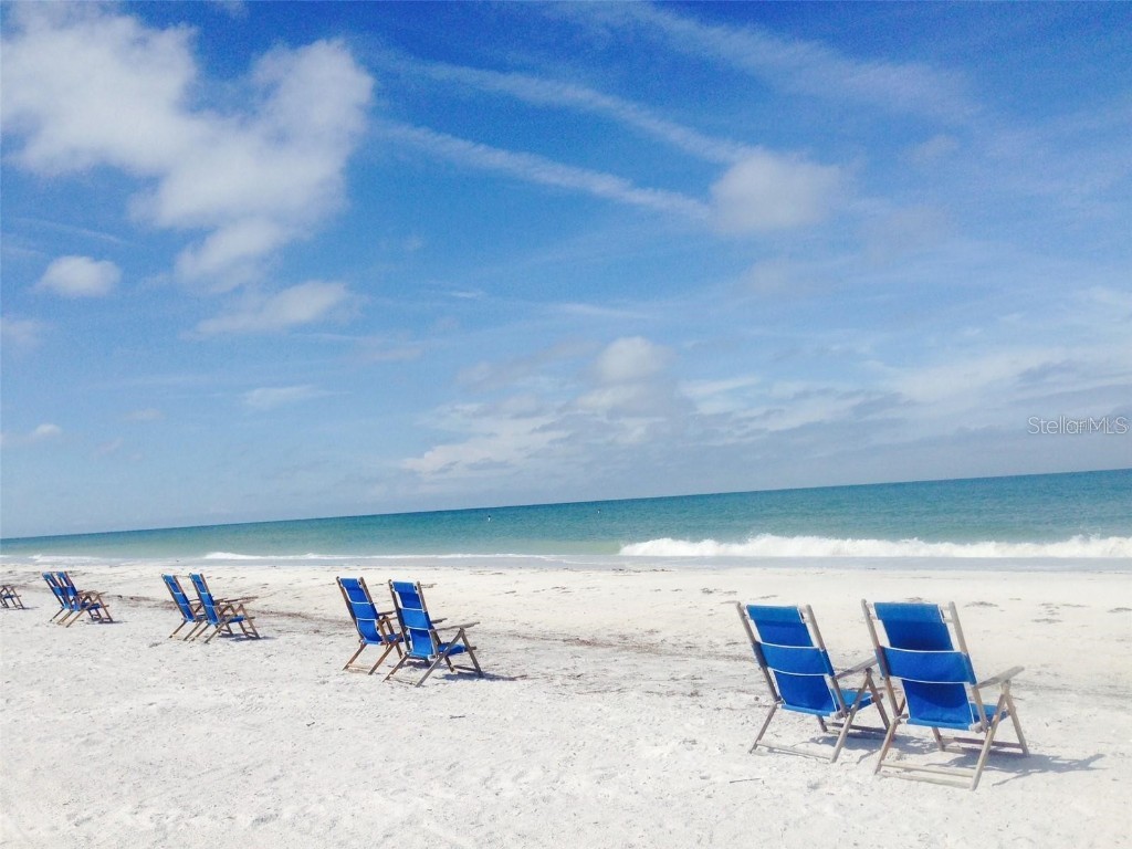 3118 Palm Court Dunedin FL 34698 TB8421409 image51