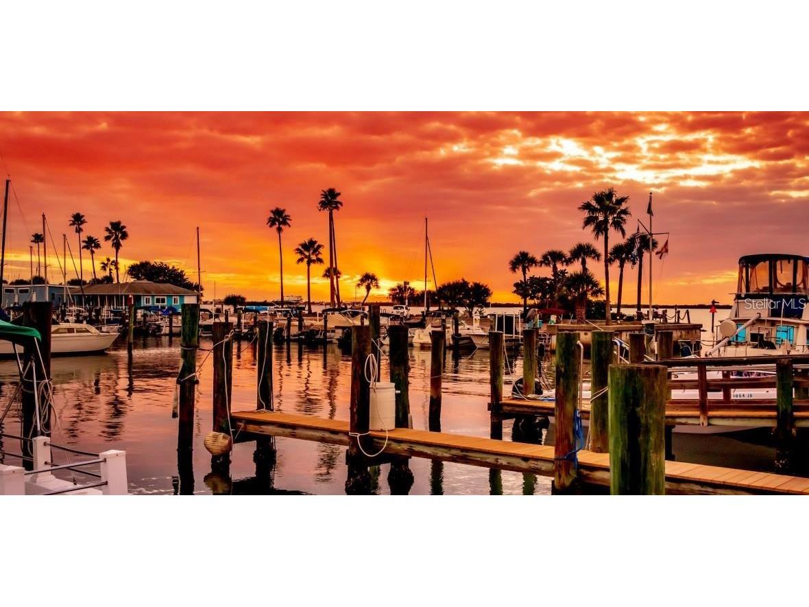 3118 Palm Court Dunedin FL 34698 TB8421409 image52