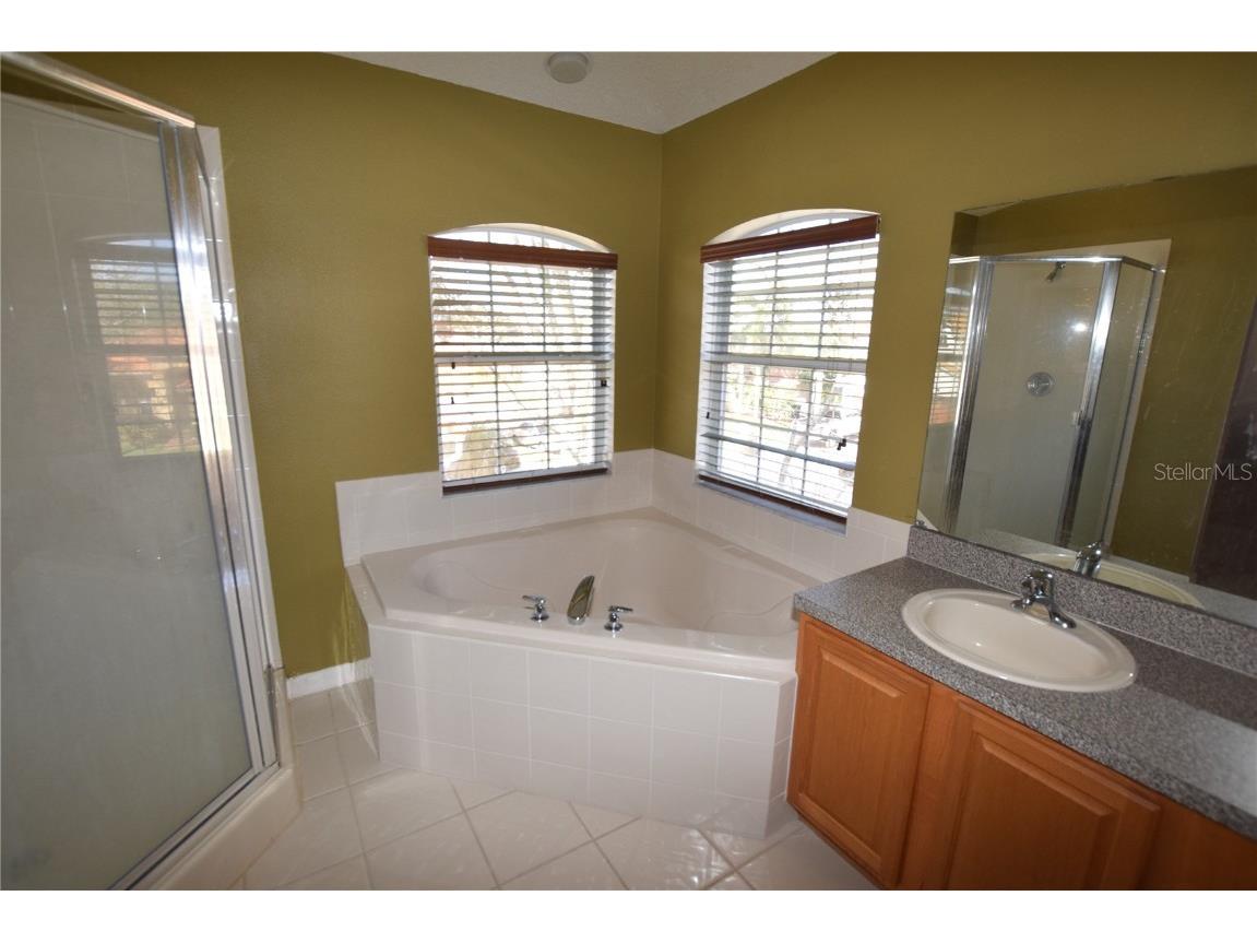 3118 Riachuelo Lane Kissimmee FL 34744 O6308779 image20