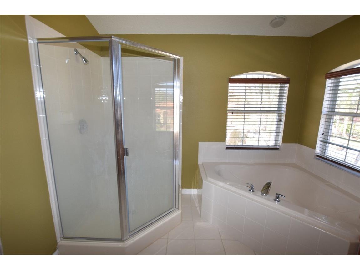 3118 Riachuelo Lane Kissimmee FL 34744 O6308779 image21