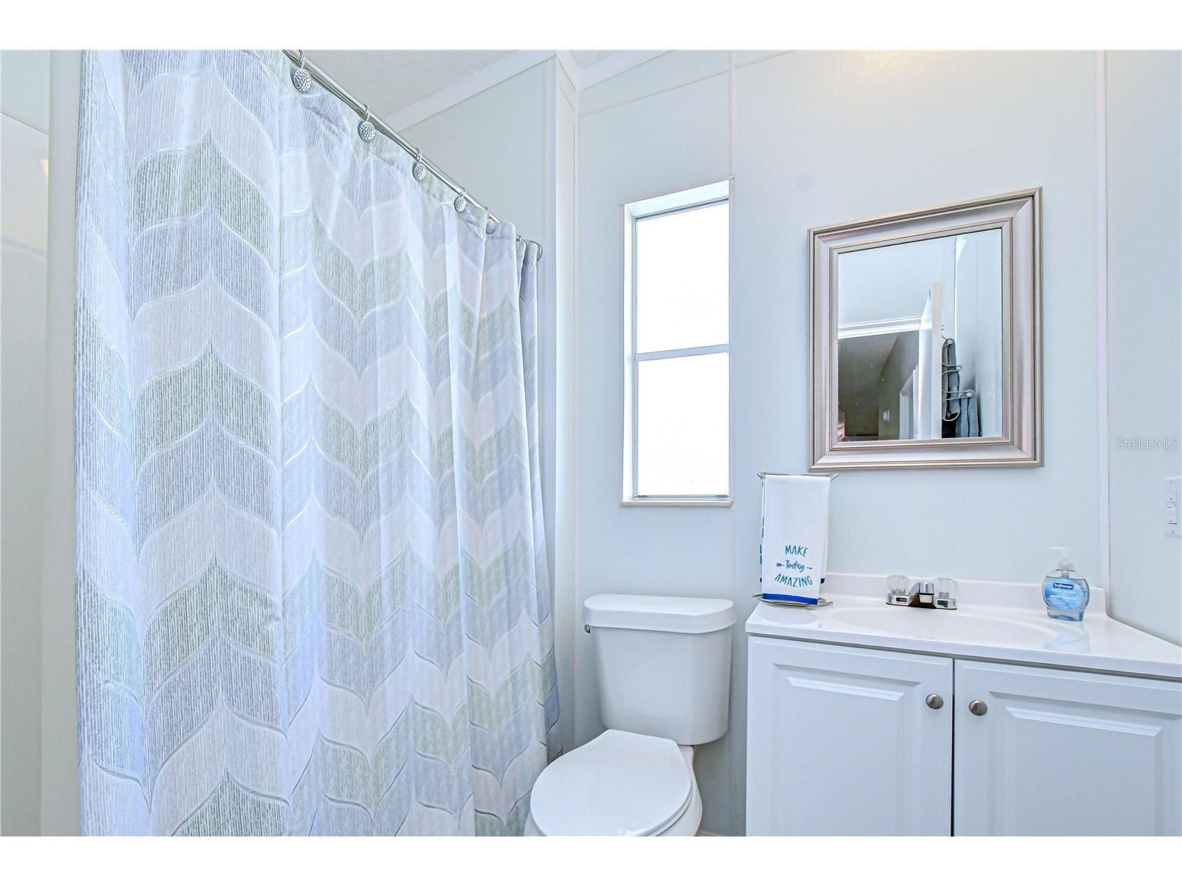 3118 Shady Creek Drive Wesley Chapel FL 33543 TB8498690 image18
