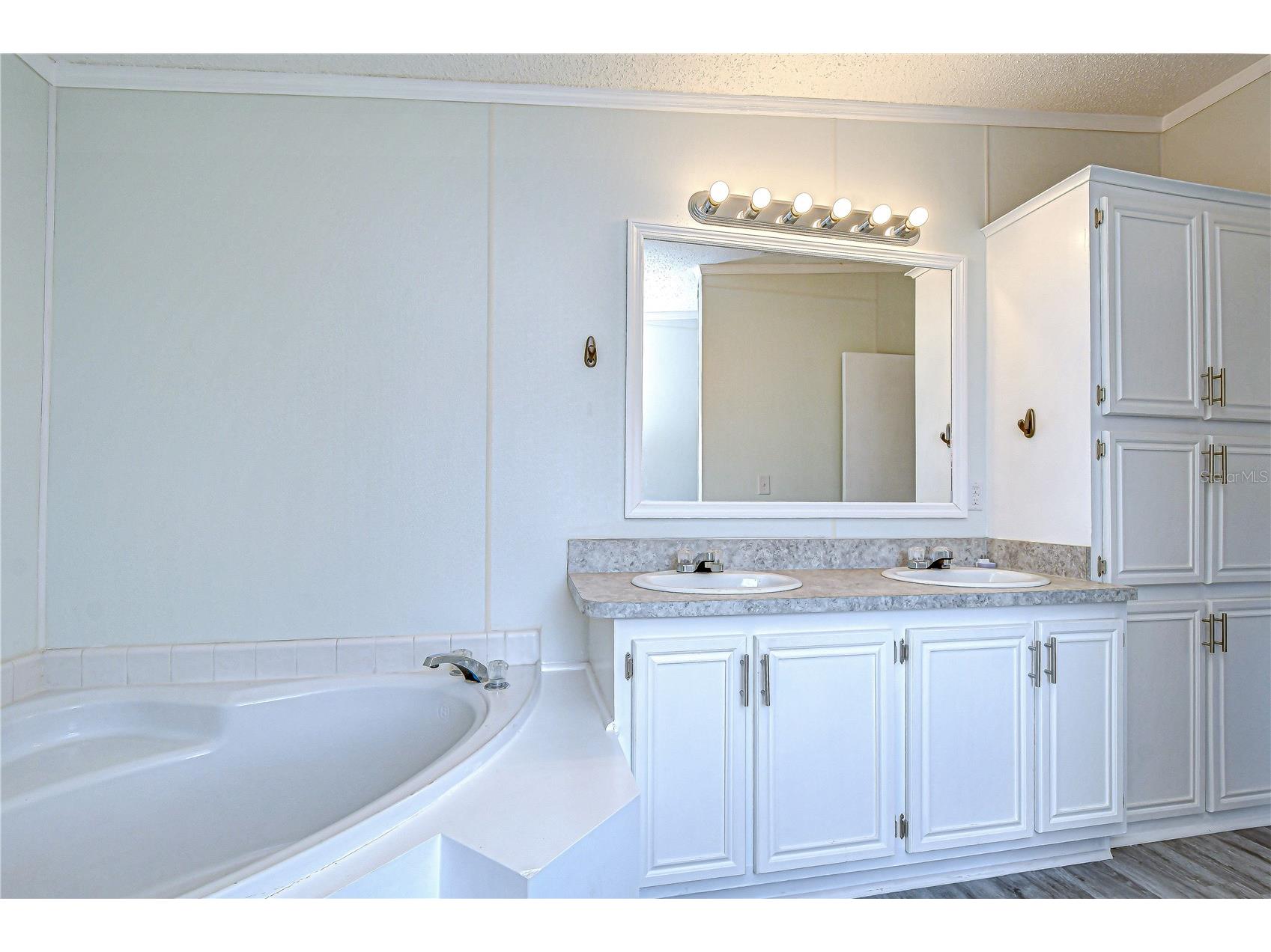 3118 Shady Creek Drive Wesley Chapel FL 33543 TB8498690 image34