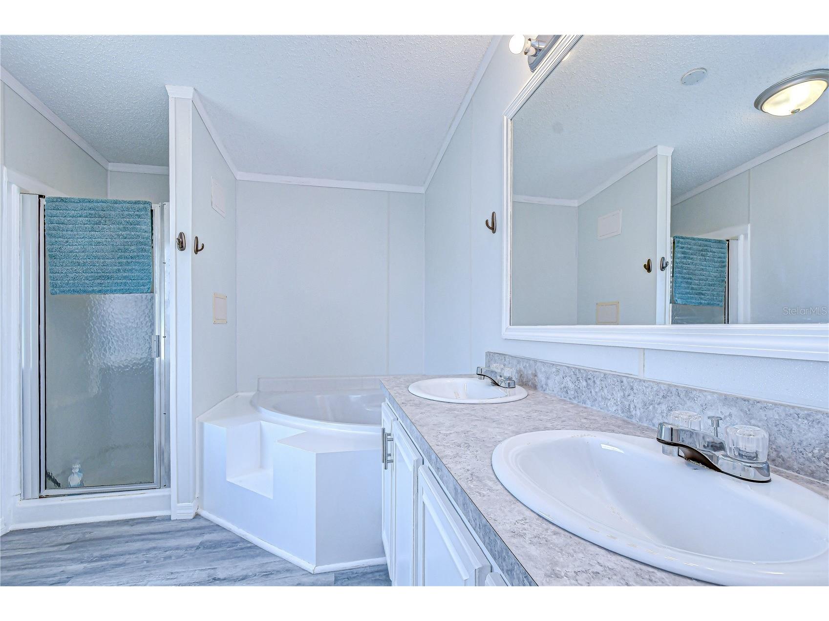 3118 Shady Creek Drive Wesley Chapel FL 33543 TB8498690 image35