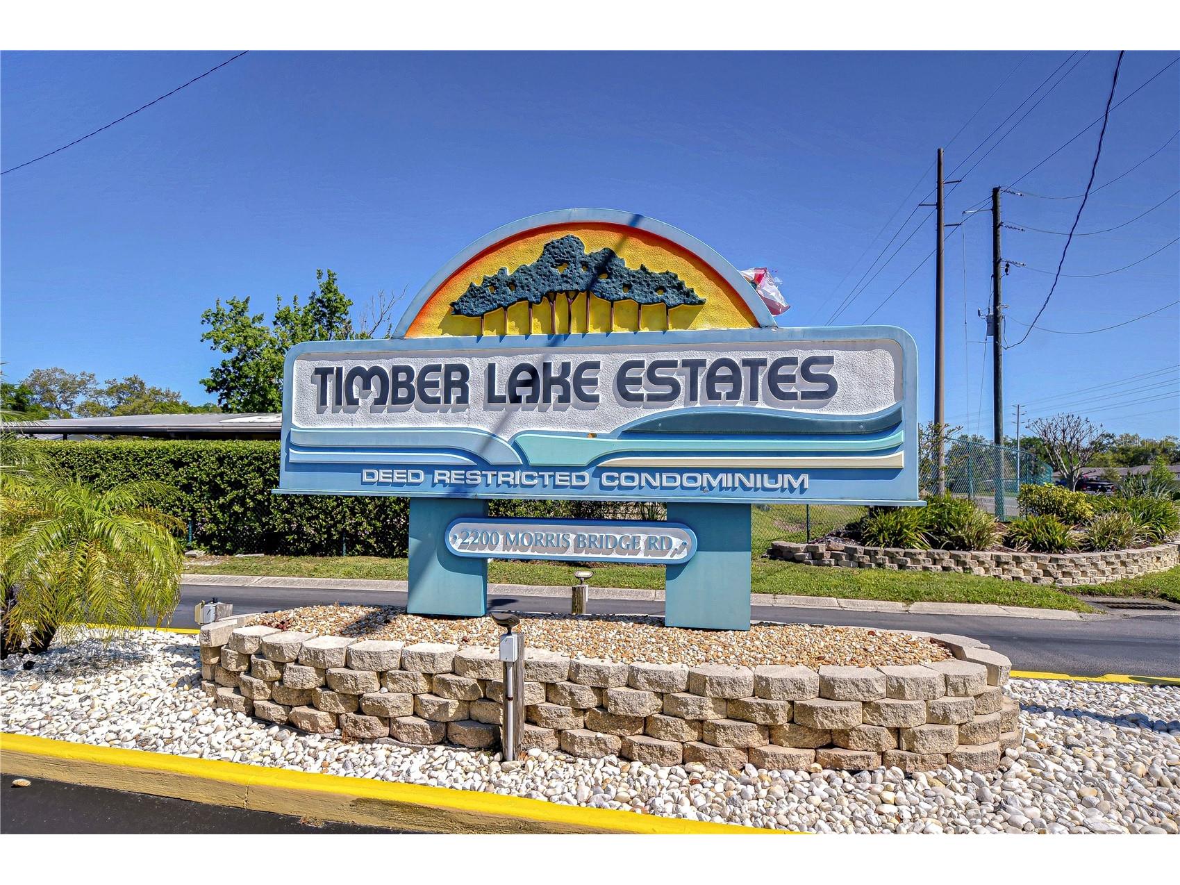 3118 Shady Creek Drive Wesley Chapel FL 33543 TB8498690 image36
