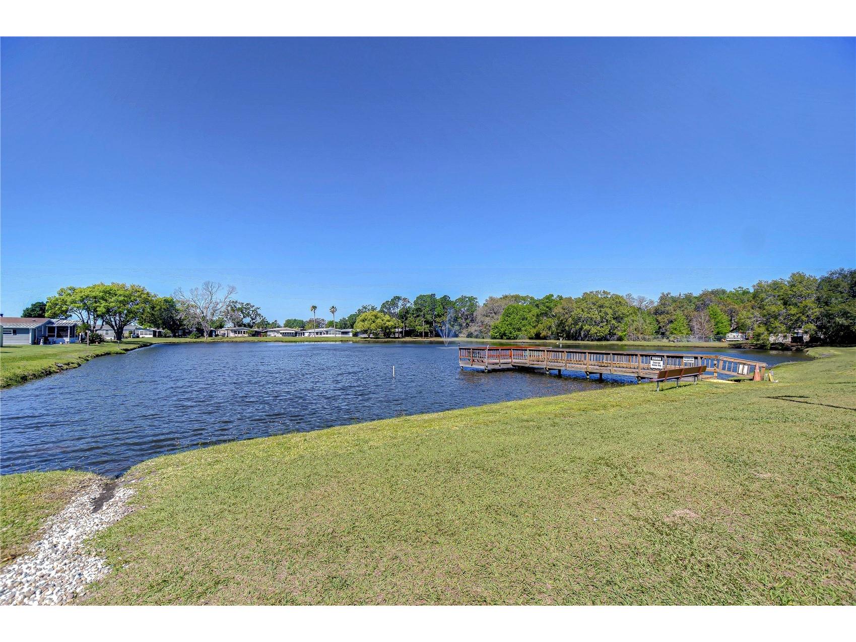 3118 Shady Creek Drive Wesley Chapel FL 33543 TB8498690 image39