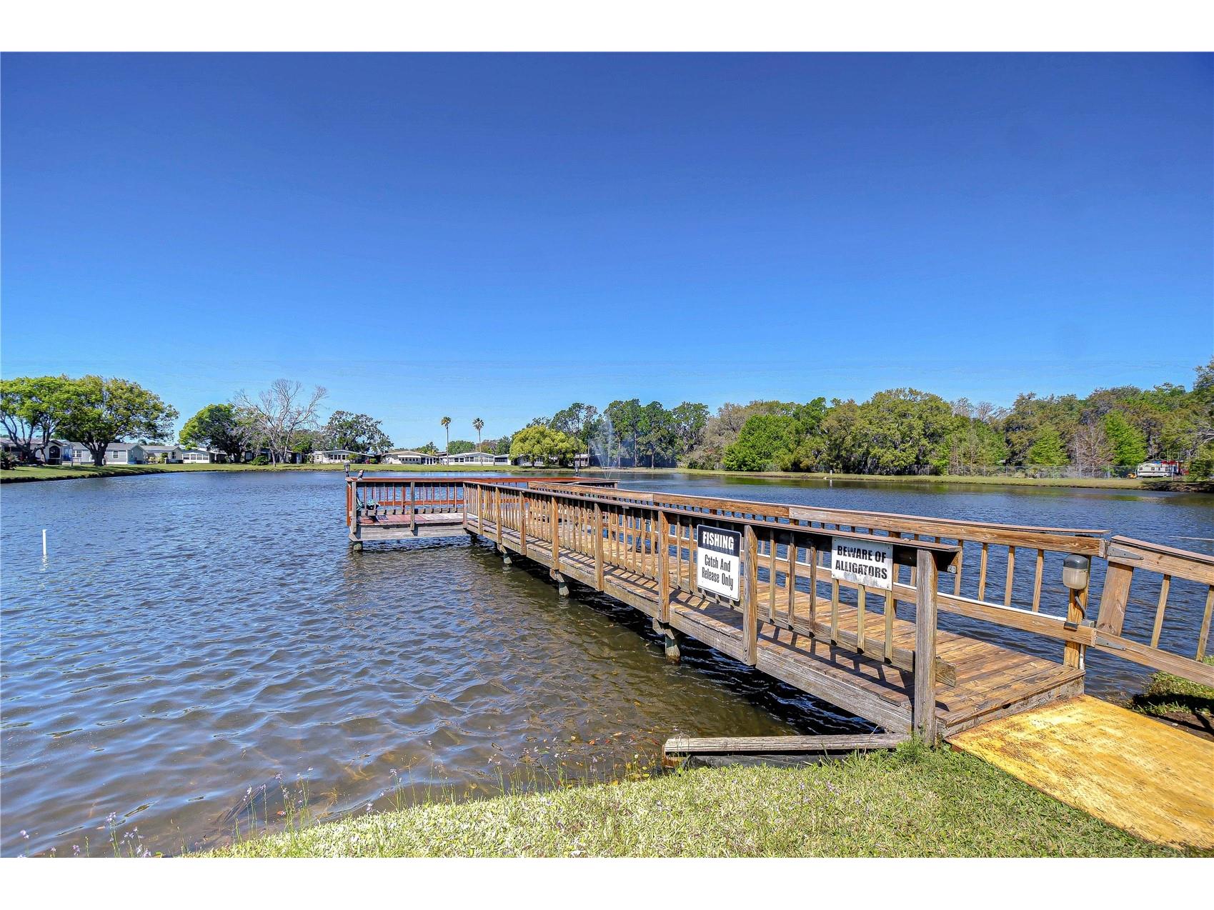 3118 Shady Creek Drive Wesley Chapel FL 33543 TB8498690 image40