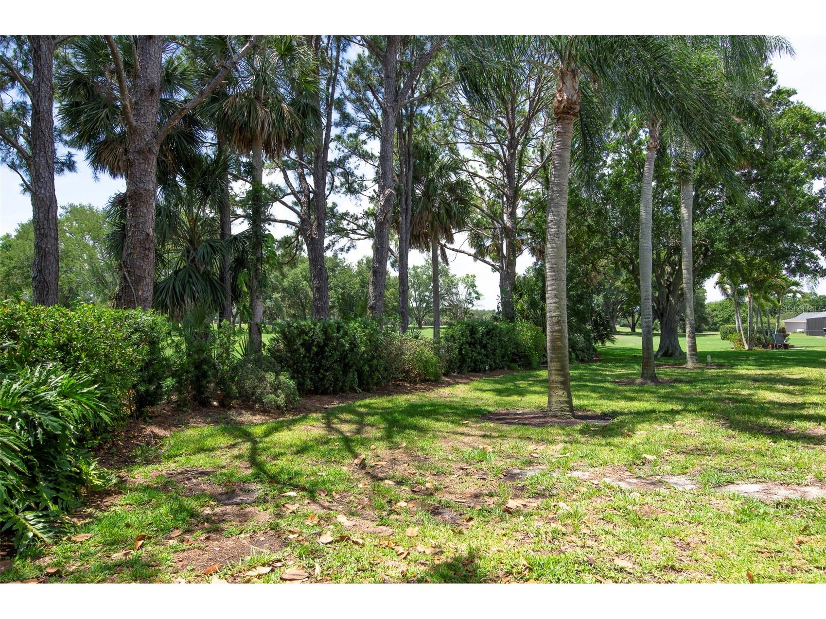 3119 Hyde Park Drive Clearwater FL 33761 TB8513061 image49