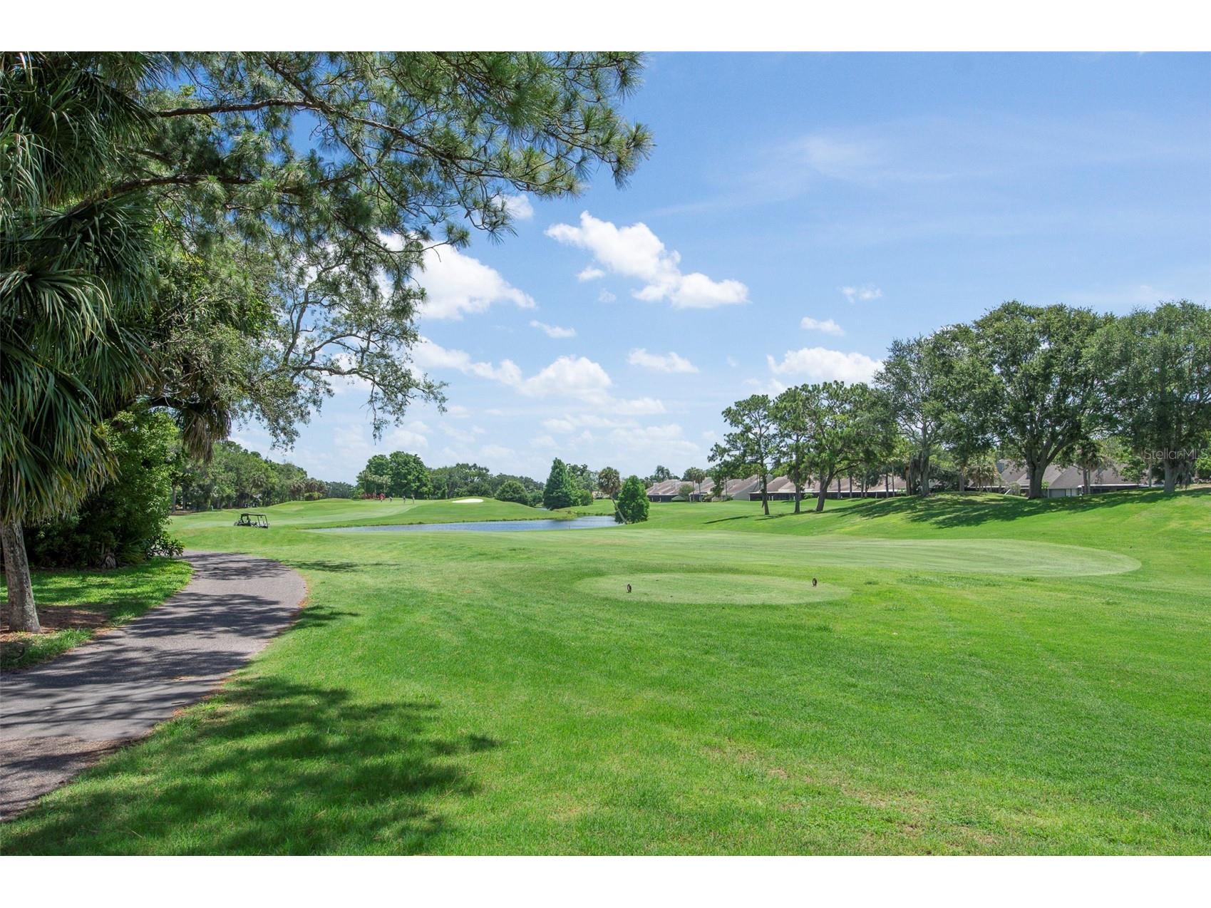 3119 Hyde Park Drive Clearwater FL 33761 TB8513061 image50
