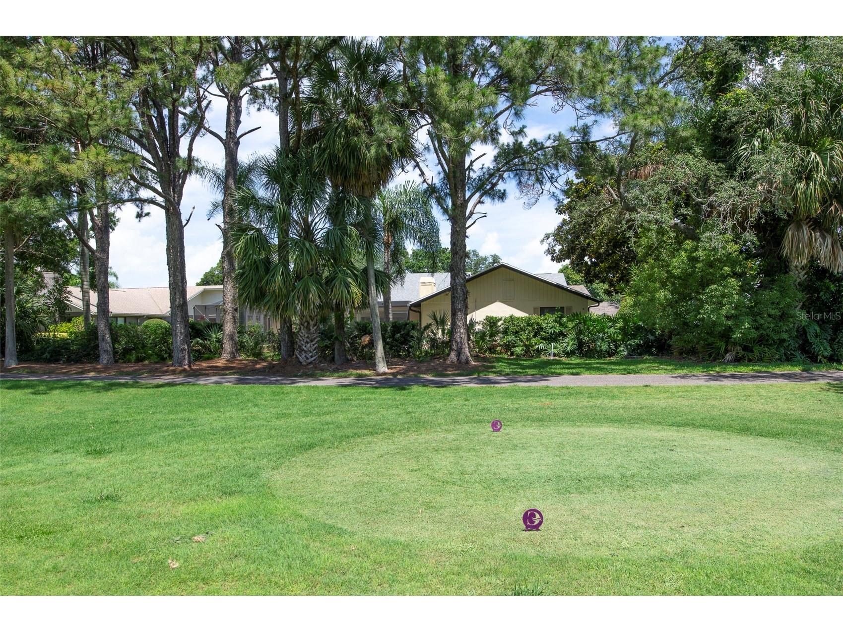 3119 Hyde Park Drive Clearwater FL 33761 TB8513061 image51