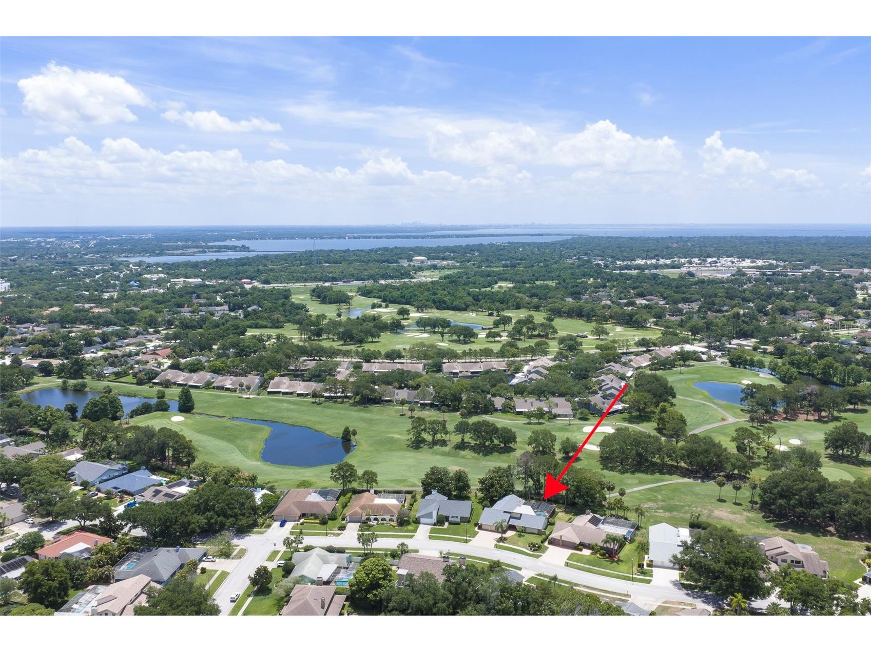 3119 Hyde Park Drive Clearwater FL 33761 TB8513061 image56