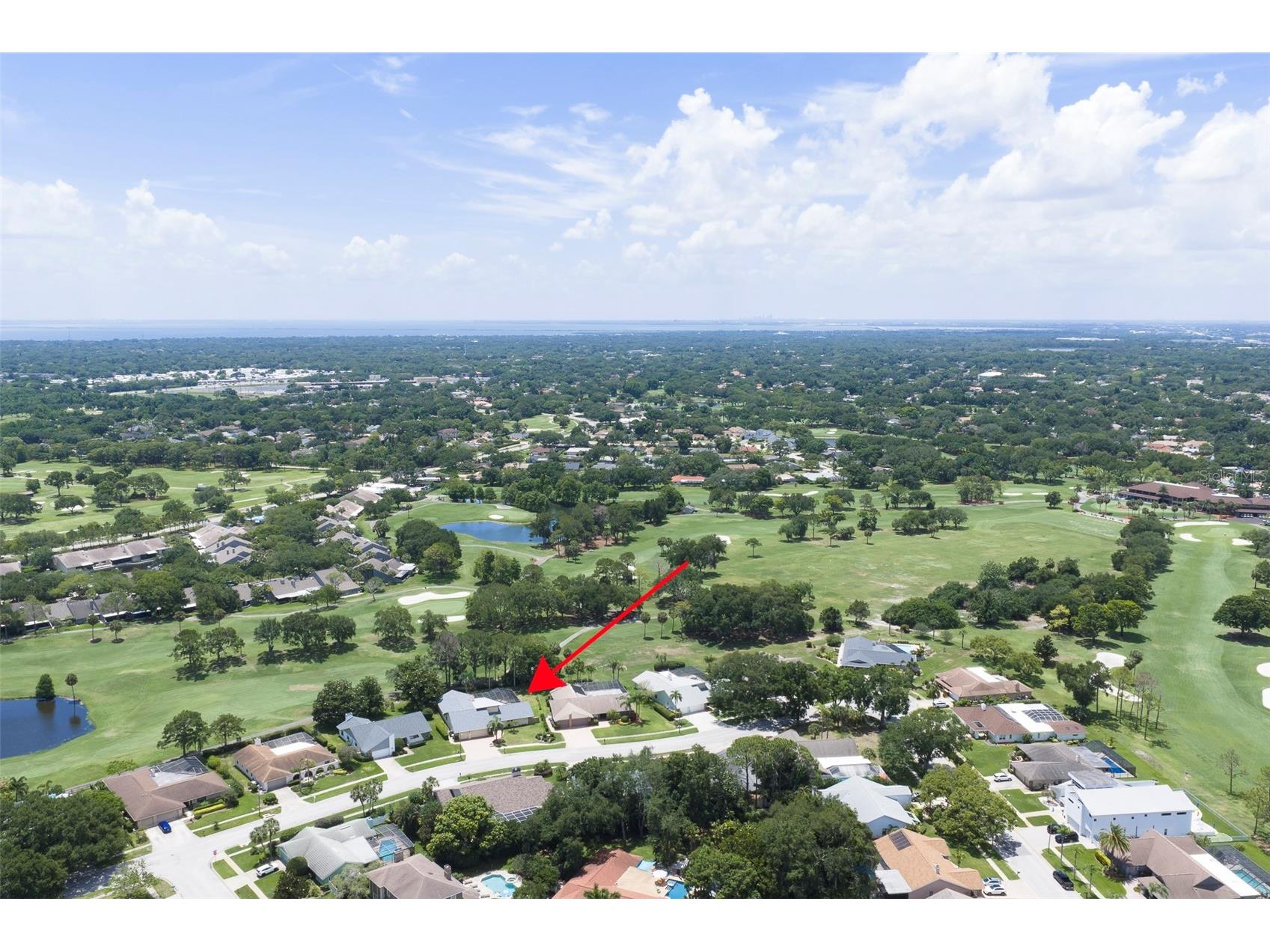 3119 Hyde Park Drive Clearwater FL 33761 TB8513061 image57