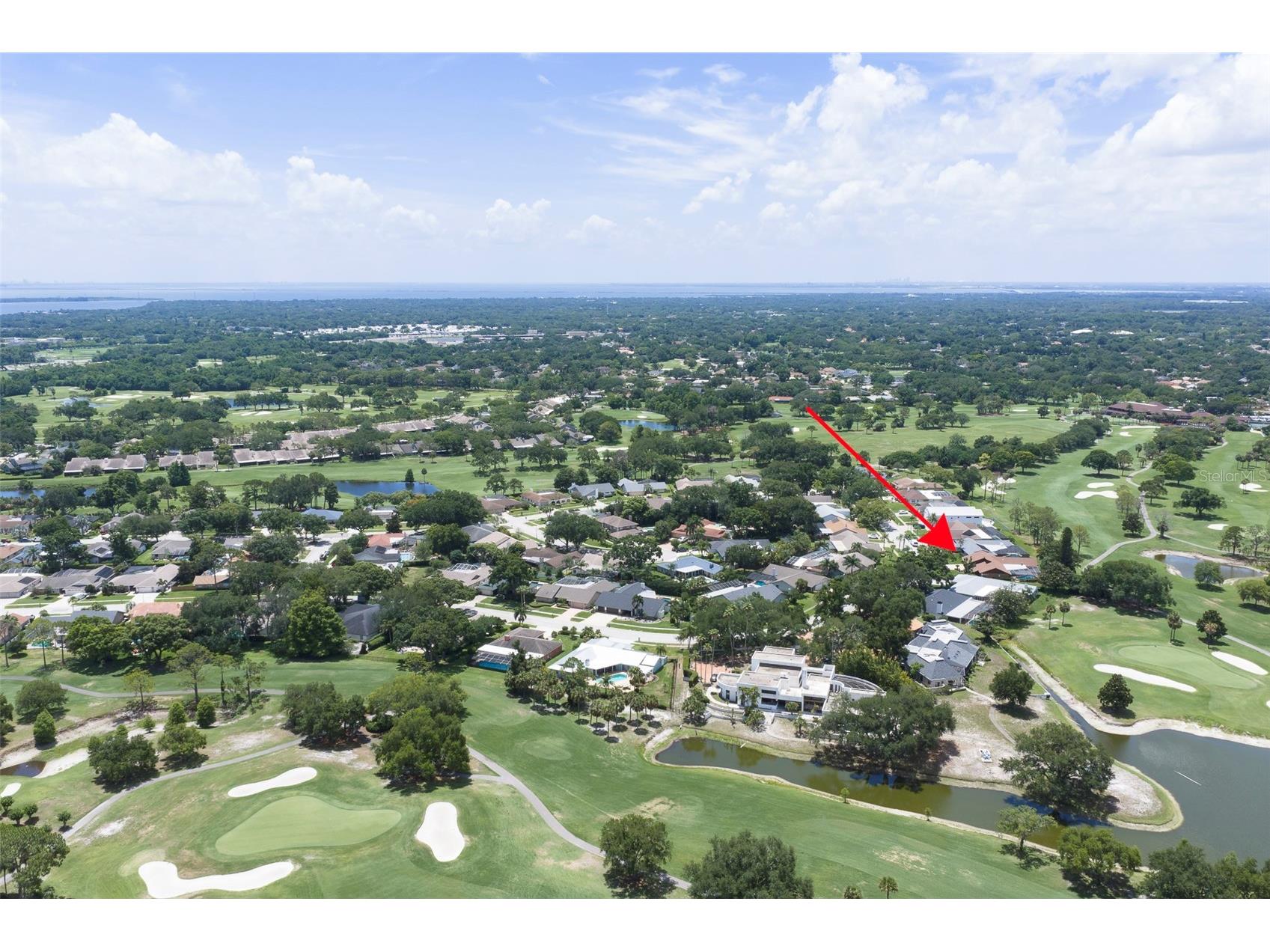3119 Hyde Park Drive Clearwater FL 33761 TB8513061 image58