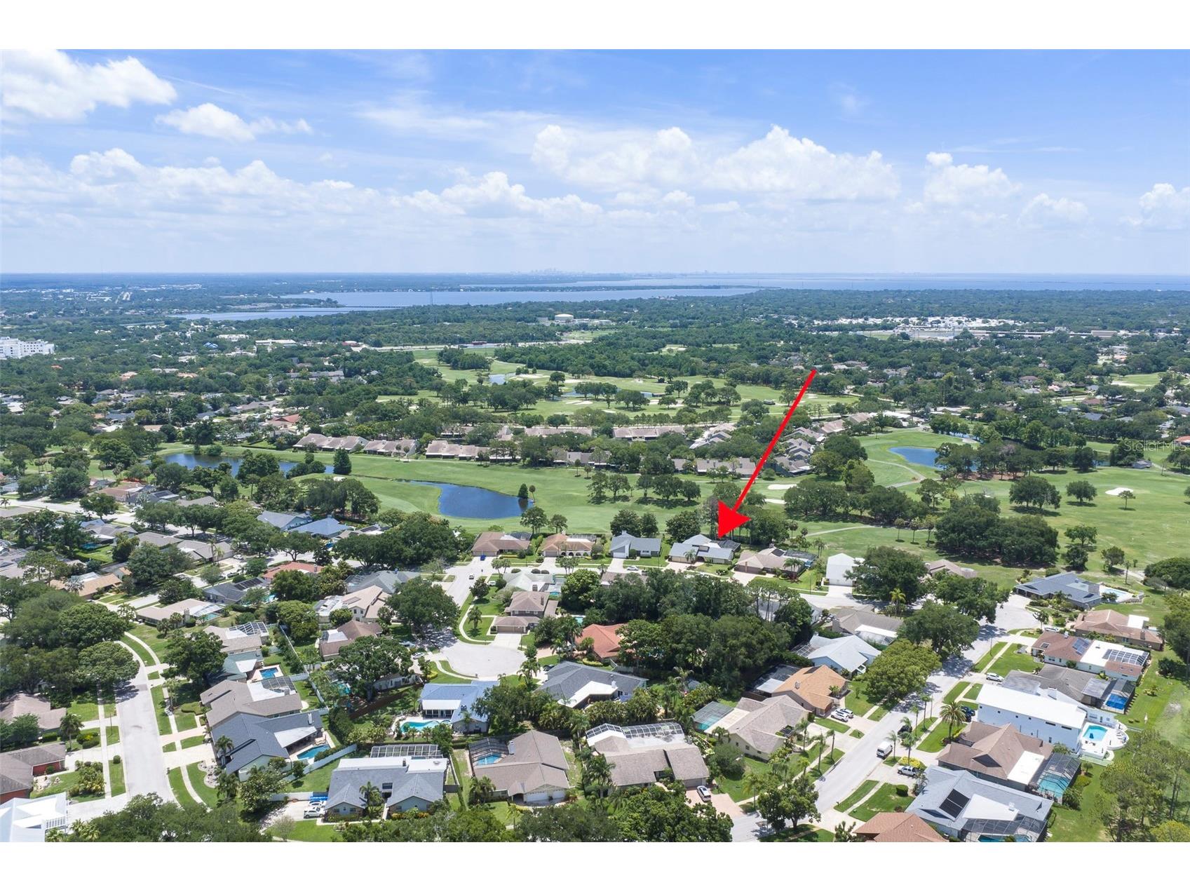 3119 Hyde Park Drive Clearwater FL 33761 TB8513061 image59