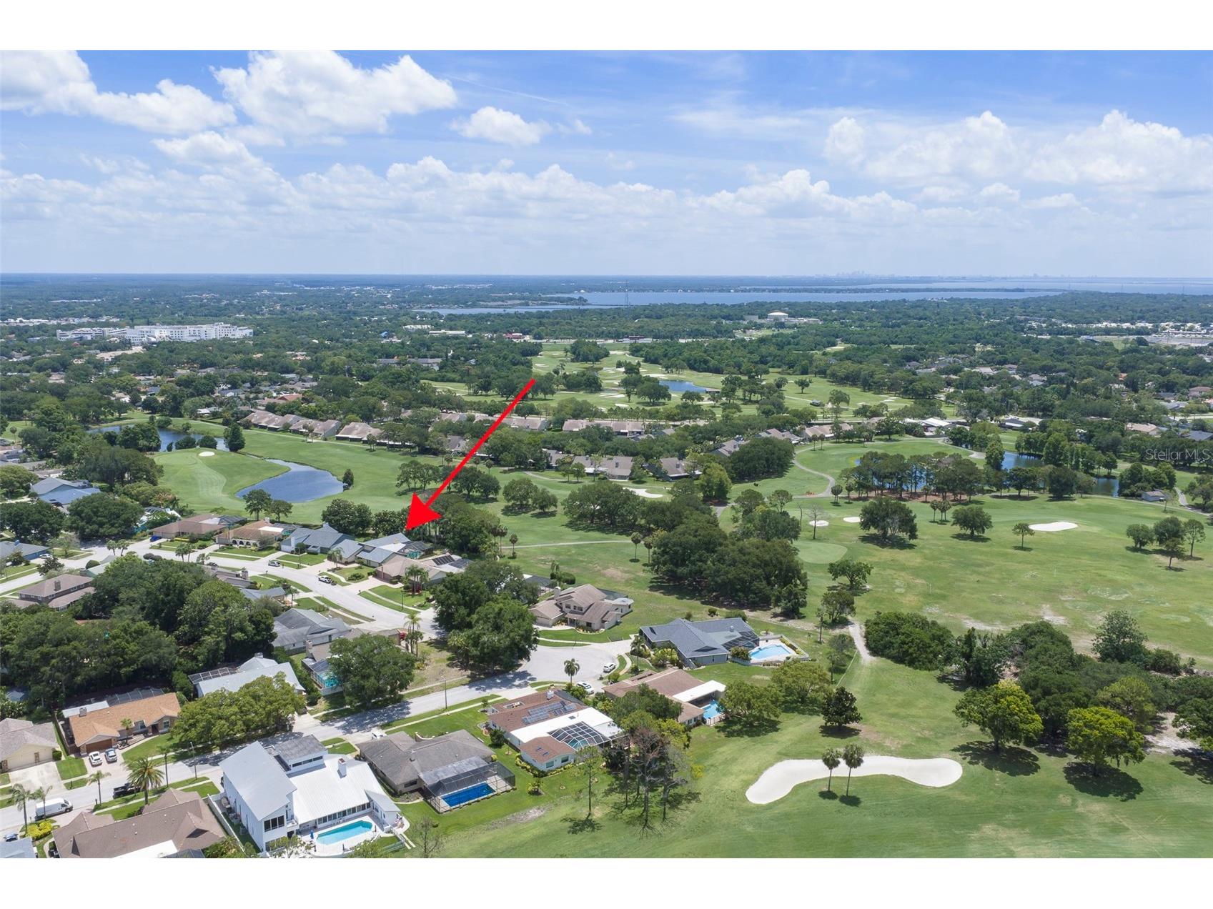 3119 Hyde Park Drive Clearwater FL 33761 TB8513061 image60