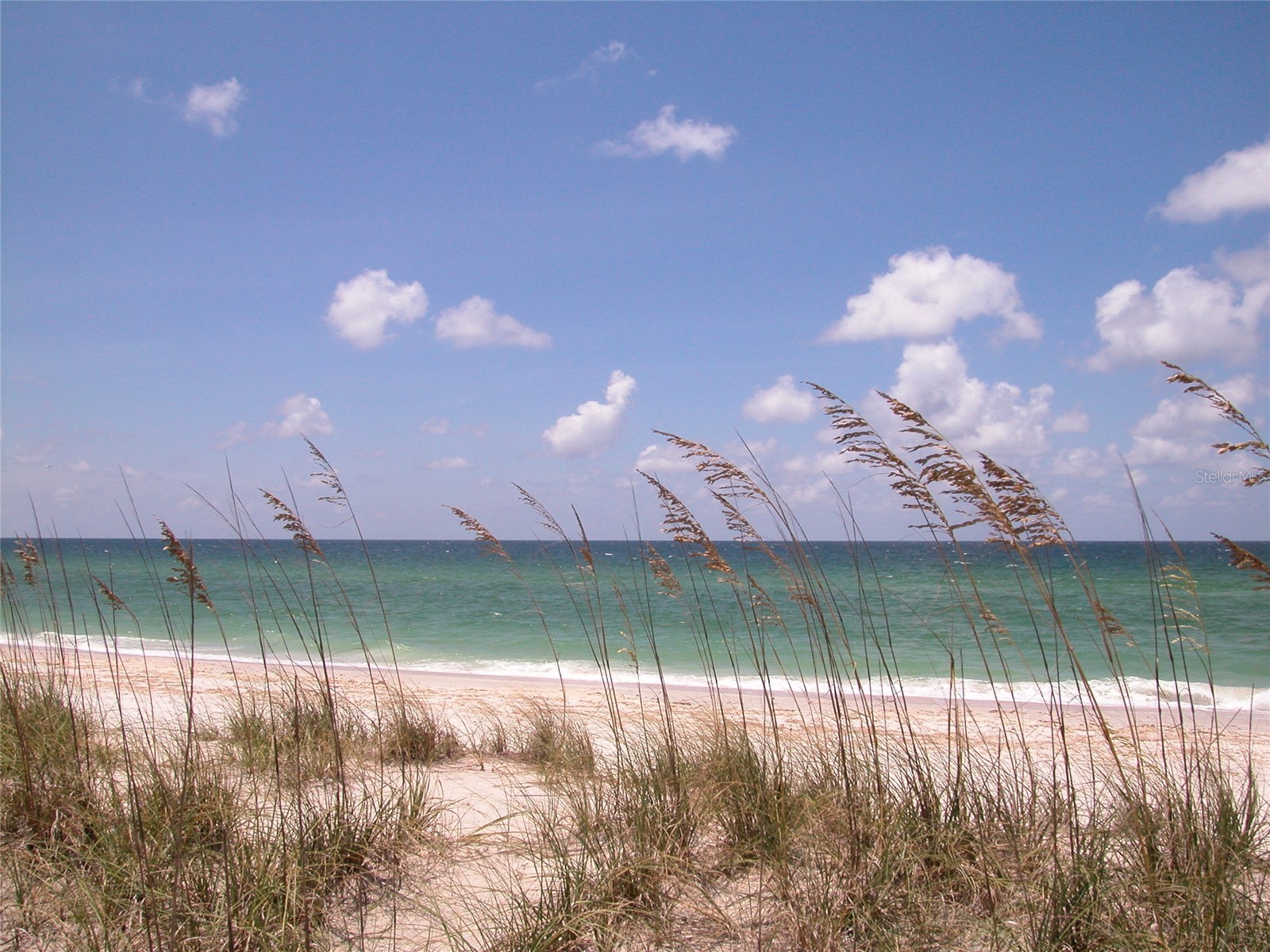 3119 Lockwood Terrace Sarasota FL 34231 A4686015 image34