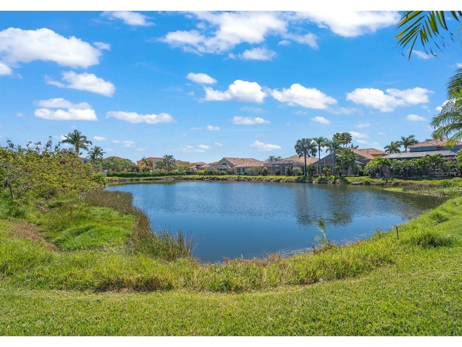 312 11th Avenue E Palmetto FL 34221 - MANATEE RIVER A4685327 image28
