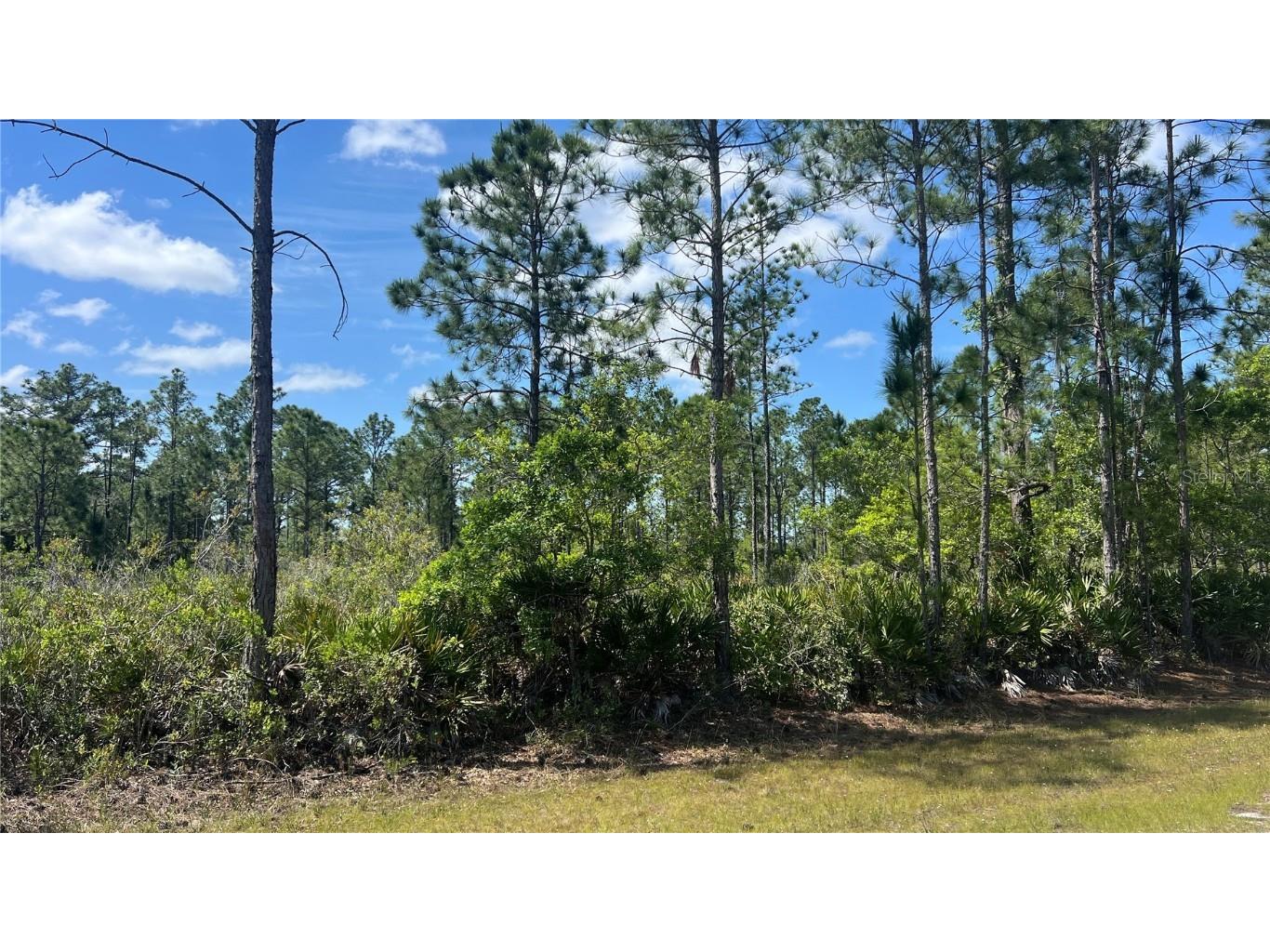 312 Belmonte Drive Indian Lake Estates FL 33855 S5103300 image1