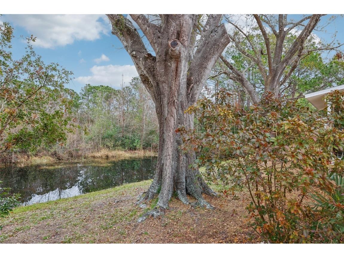 312 Brigadoon Circle #312 Leesburg FL 34788 G5091601 image2