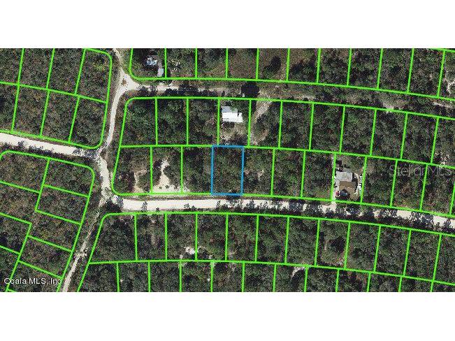 312 Cartier Avenue Lake Placid FL 33852 OM542044 image1