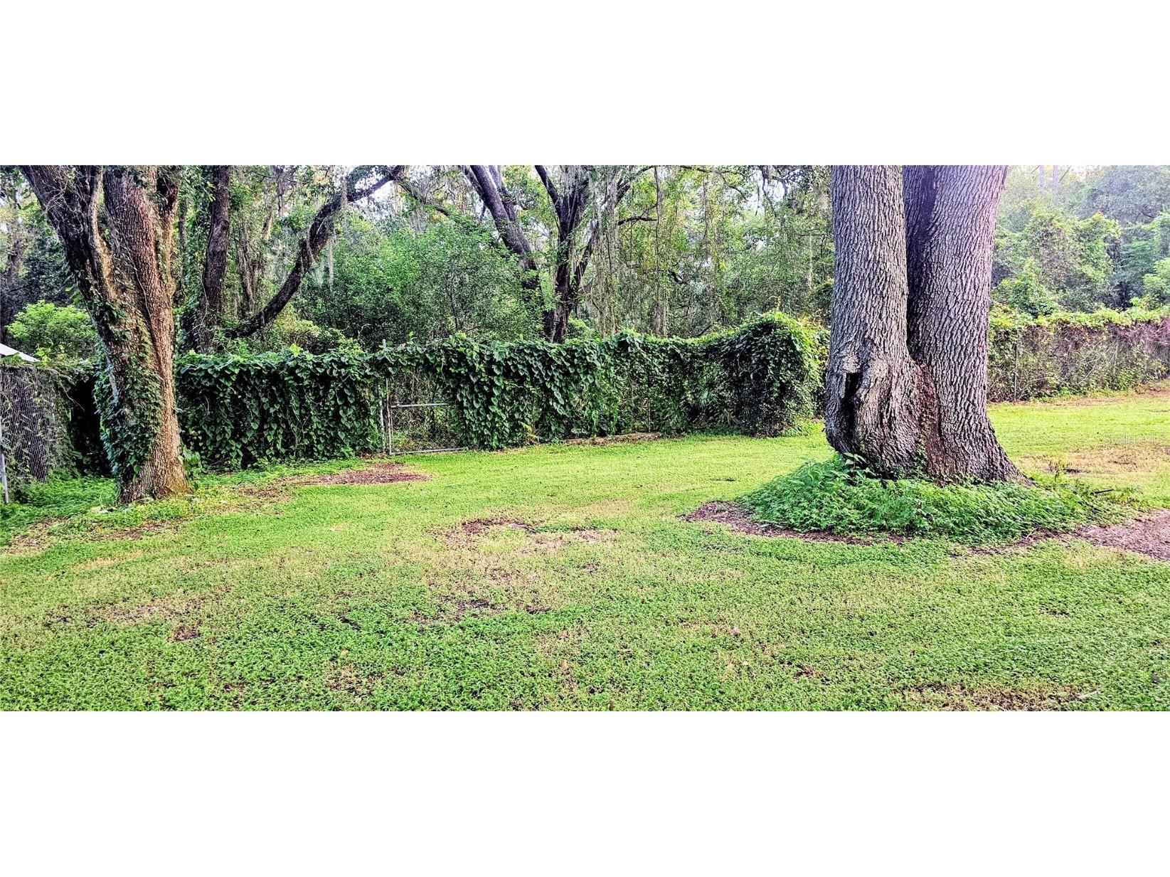 312 Donald Lane Winter Haven FL 33880 O6342130 image23