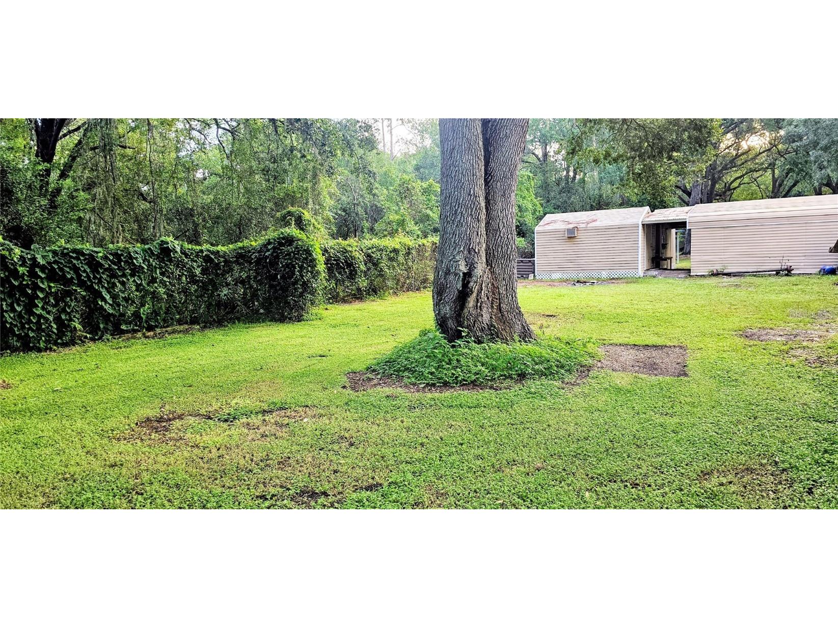 312 Donald Lane Winter Haven FL 33880 O6342130 image25